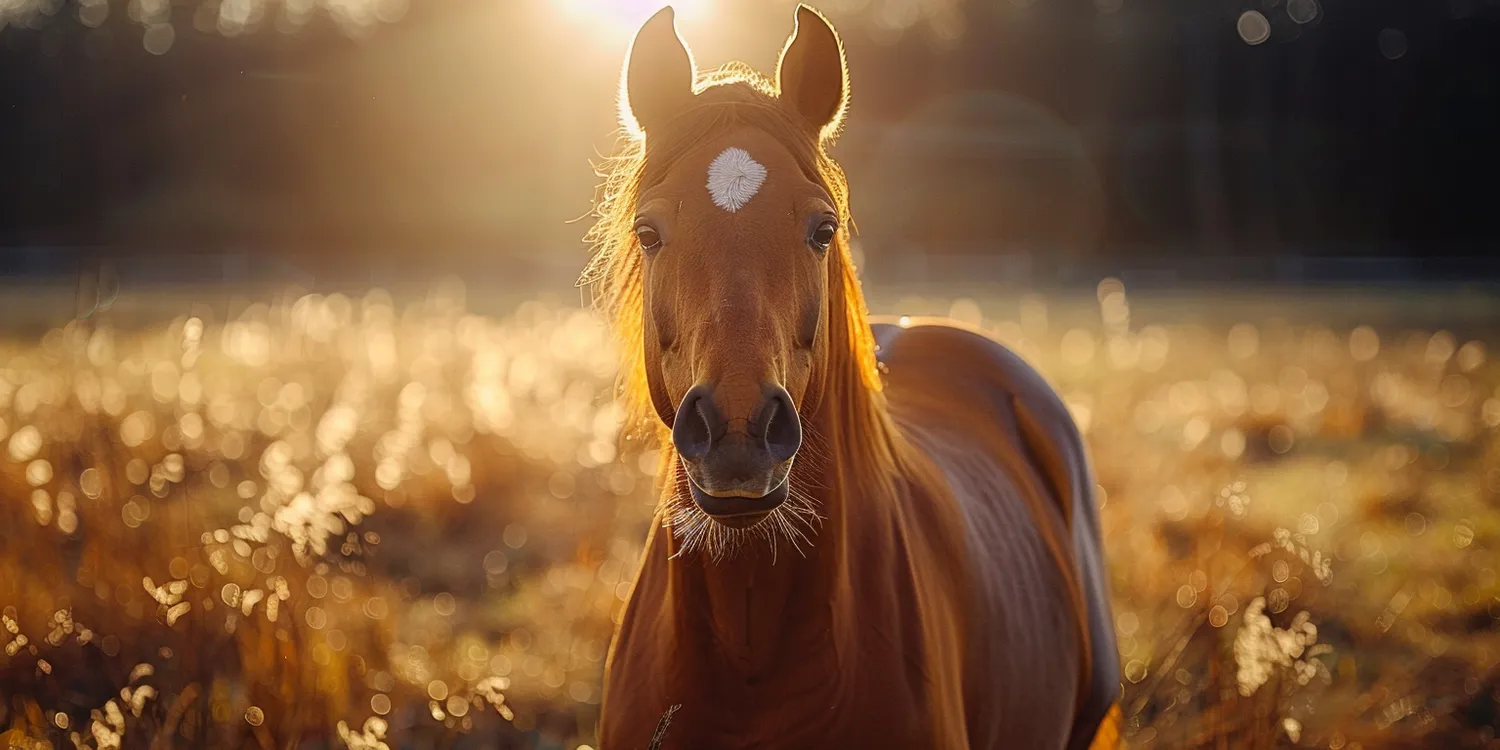 Czy trawa z rolki może się nie przyjąć?