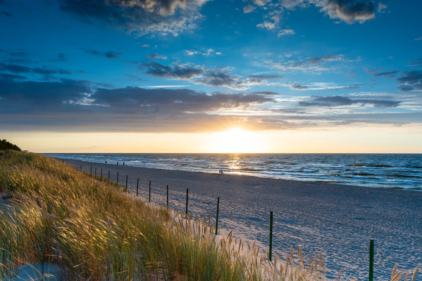 Ile ukorzenia sie trawa z rolki?