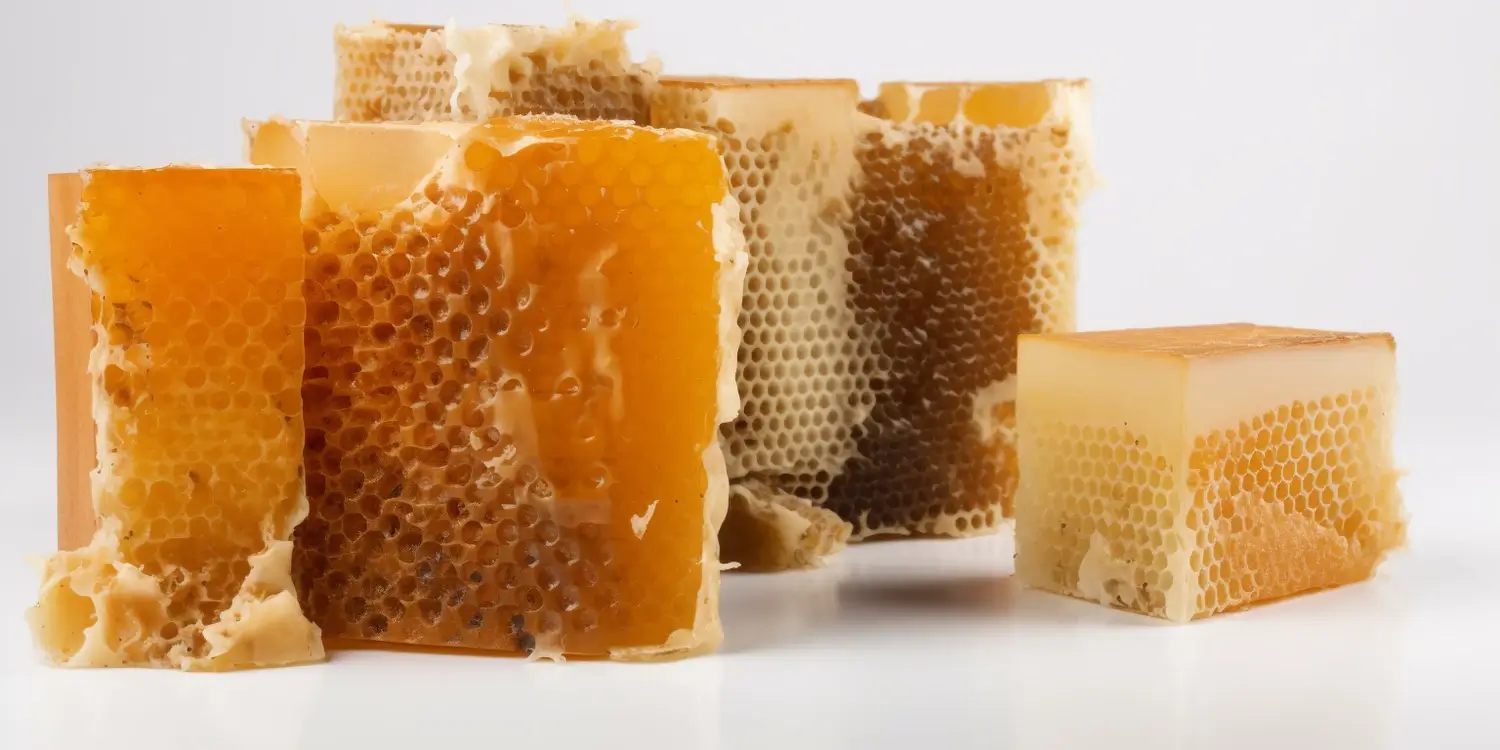 Miód nektarowo-spadziowy czy lepszy od innych miodów?