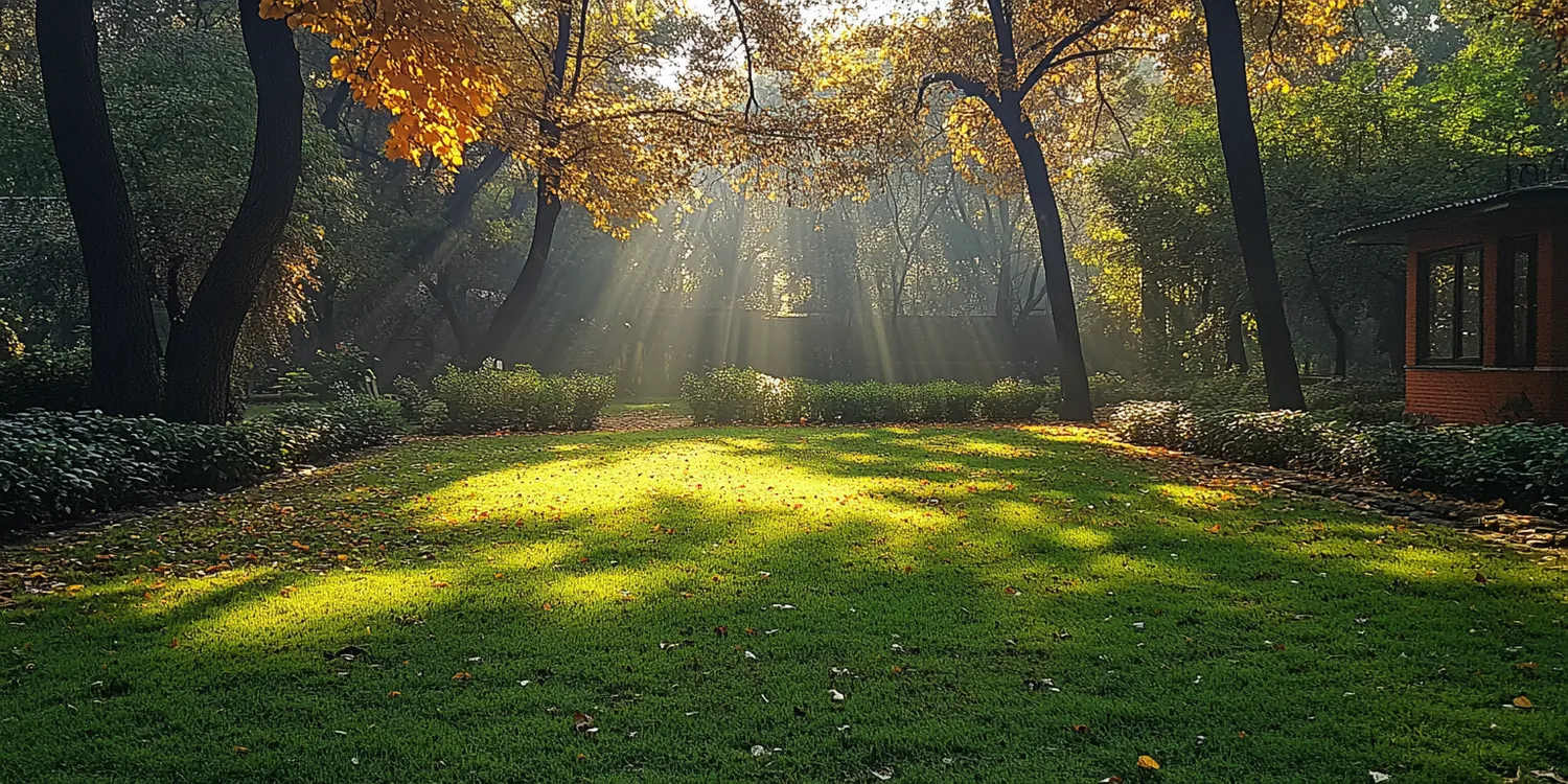 Trawa z rolki gdzie najtaniej?