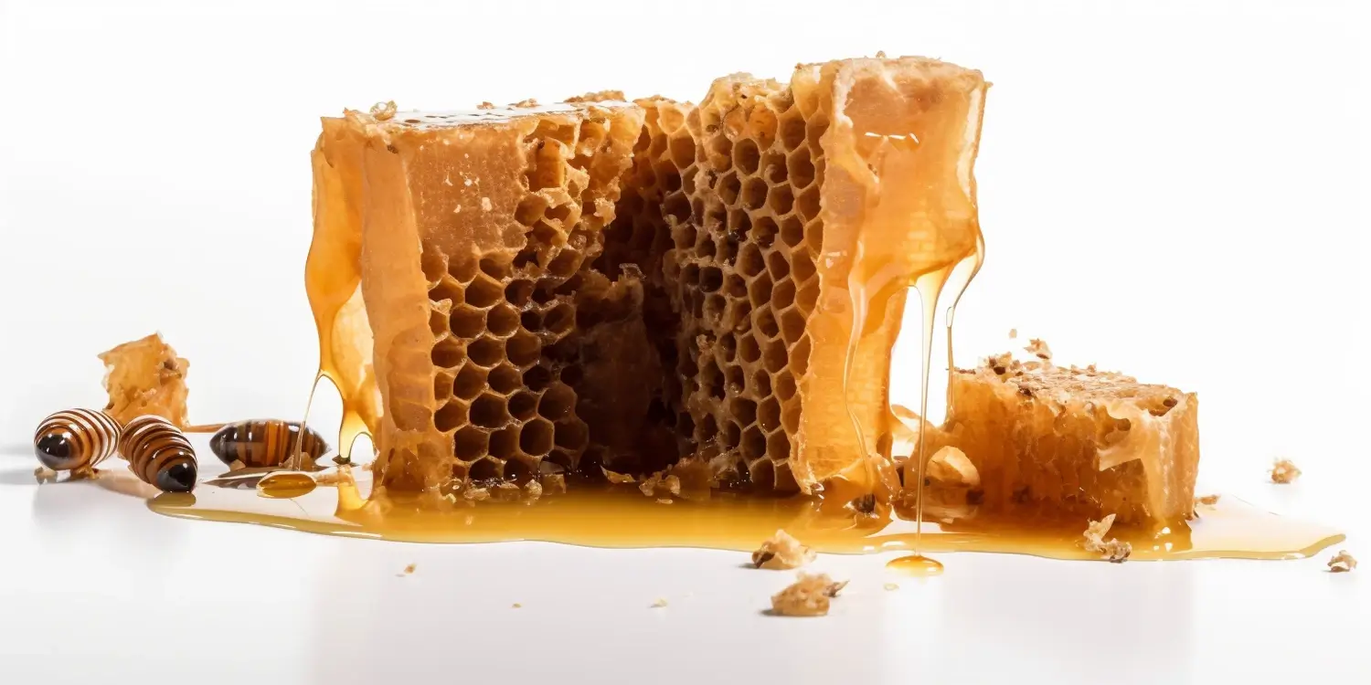 Kiedy zbiera się miód rzepakowy?