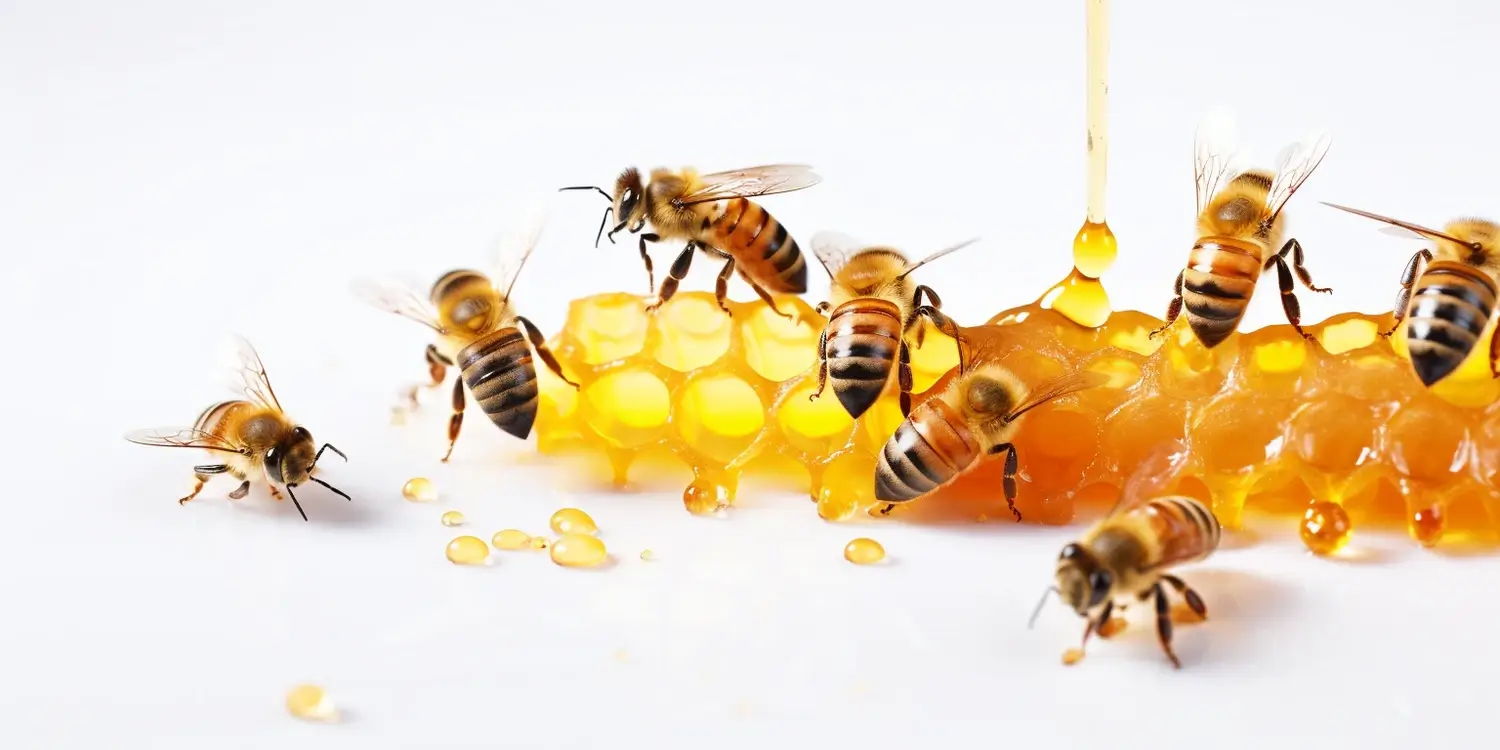 Miód akacjowy na co pomaga?